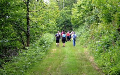 The Top 4 Hiking Trails In The South Coast