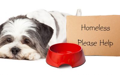 Christmas 2018 Charity Drive