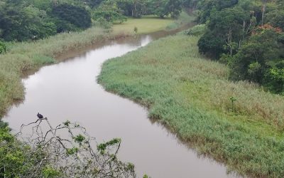 10 FREE family fun activities on the KZN South Coast