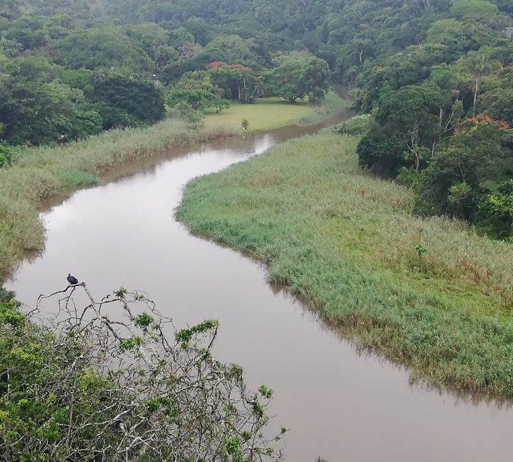 10 FREE family fun activities on the KZN South Coast