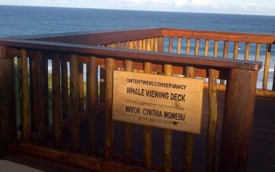 10 Of our favourite places to enjoy the sunset on the KZN South Coast