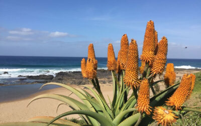 Happy Spring to all of you