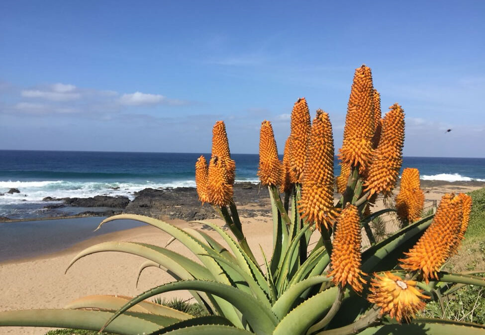 Happy Spring to all of you