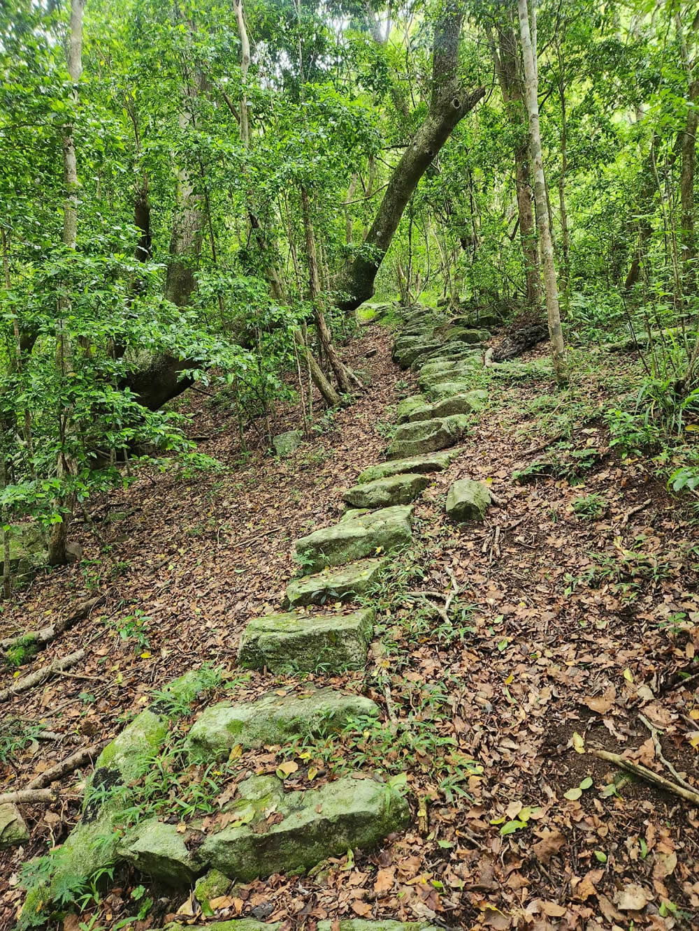 Oribi Gorge Mziki trail. Image Hanti Kotze