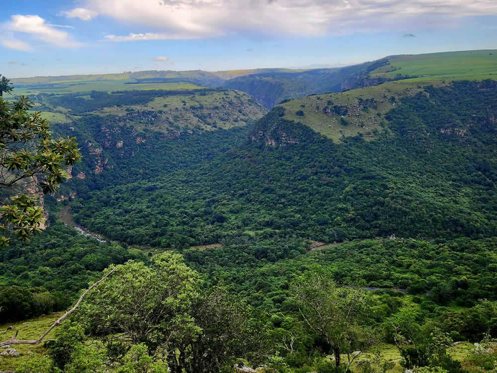 Oribi Gorge. Image Hanti Kotze