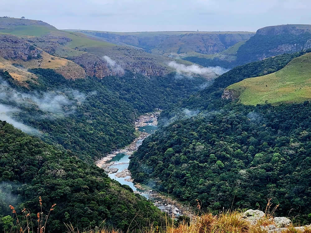 Umtamvuna Mziki trail. Image Hanti Kotze