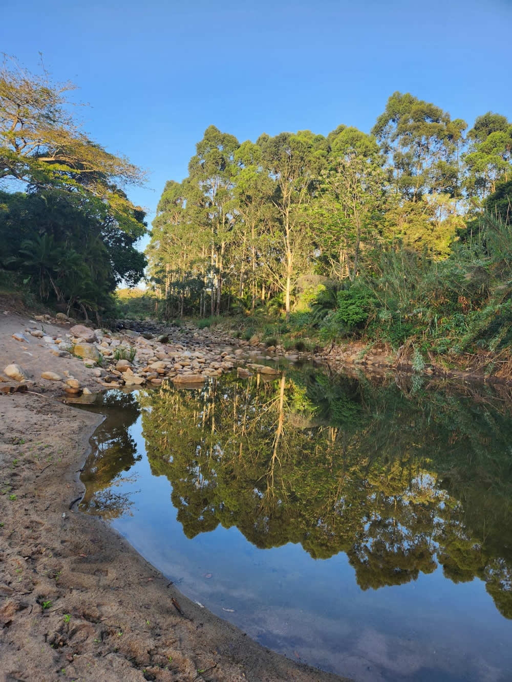 River Valley Nature Reserve, Margate. Image Hanti Kotze